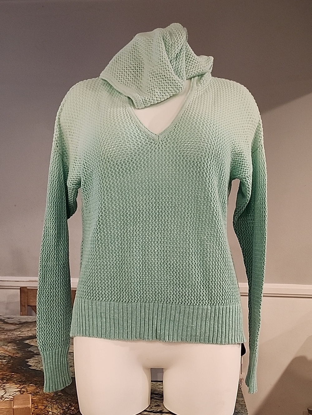New York & Company Mint V-Neck Hooded Sweater